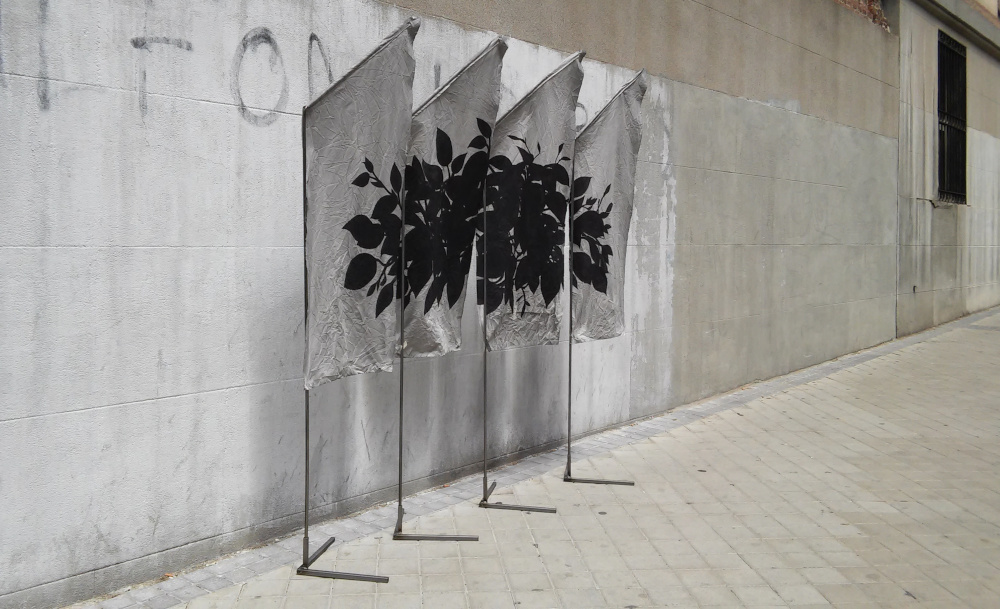 las plantas no mueren en el espacio